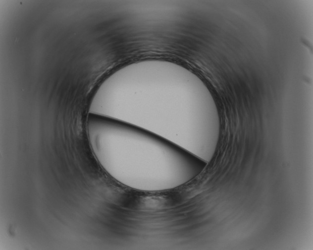 X0000091340508200708311459