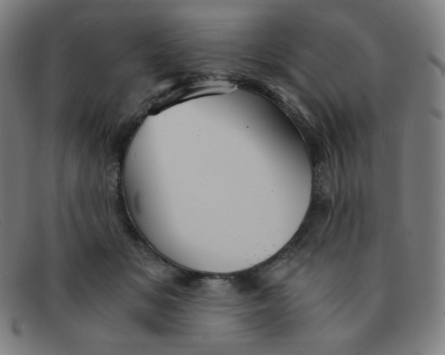 X0000091340509200708311459