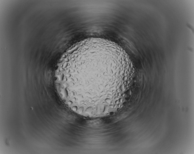 X0000091340511200708311459