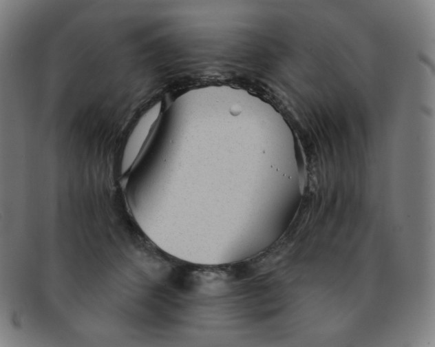 X0000091340512200708311459