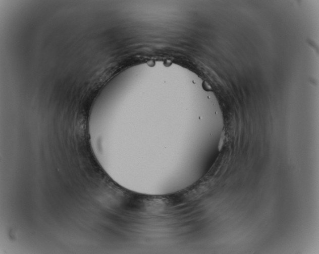 X0000091340513200708311459