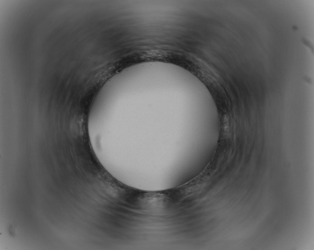 X0000091340514200708311459