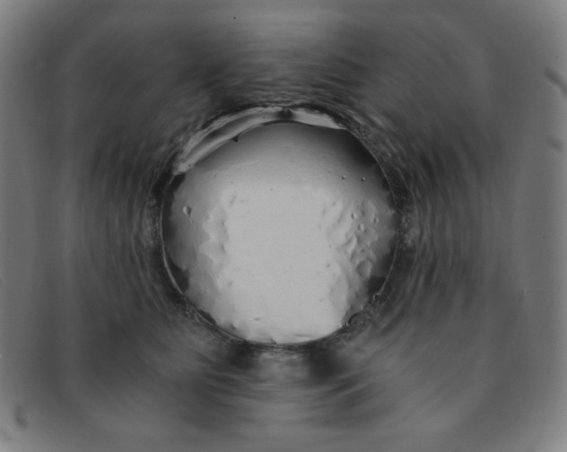 X0000091340515200708311459