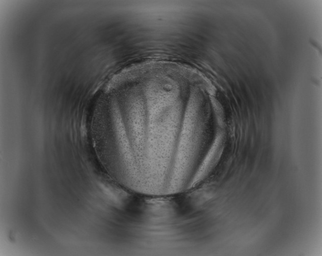 X0000091340516200708311459