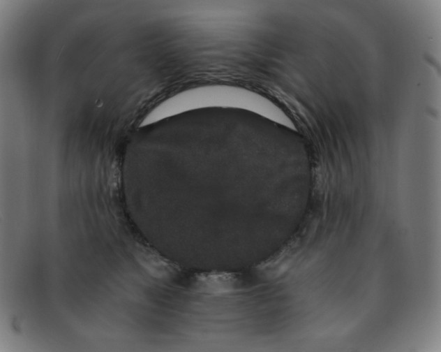 X0000091340517200708311459