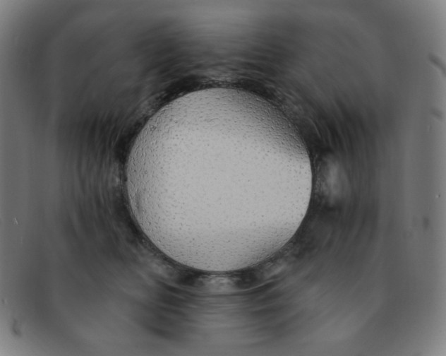 X0000091340518200708311459