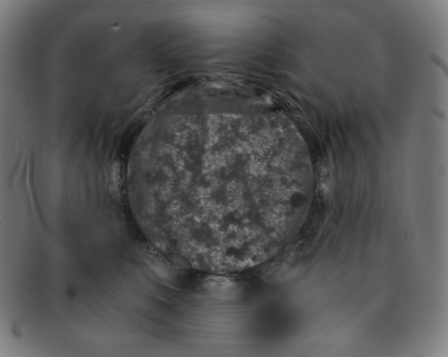 X0000091340519200708311459