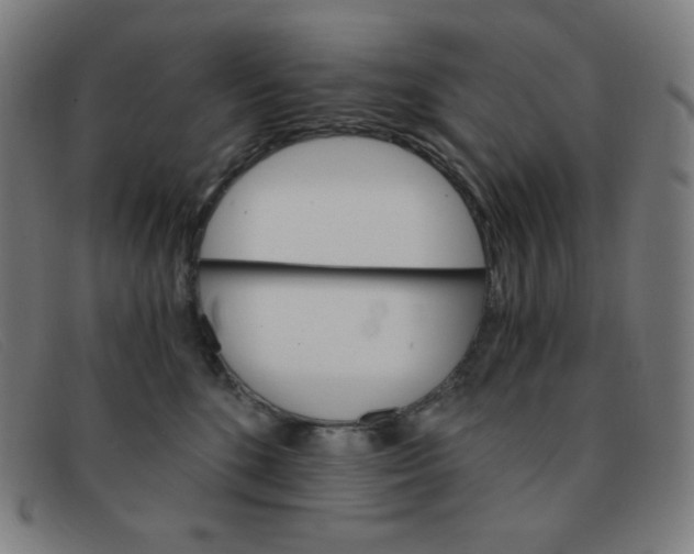 X0000091340520200708311458