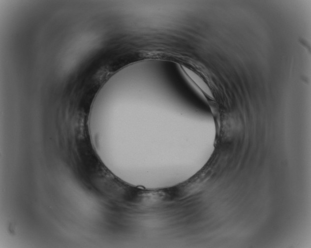 X0000091340525200708311458