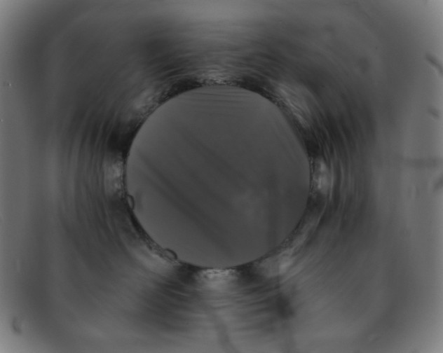 X0000091340526200708311458