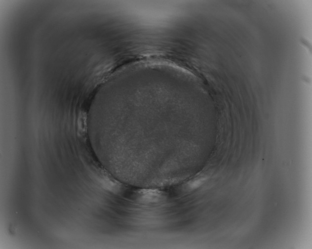 X0000091340528200708311458