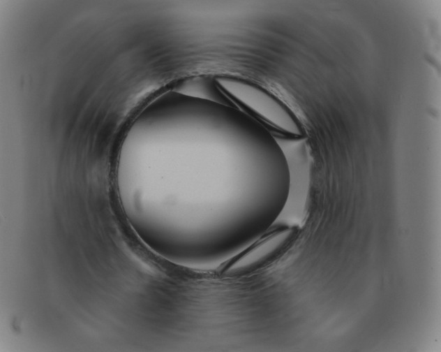 X0000091340530200708311458