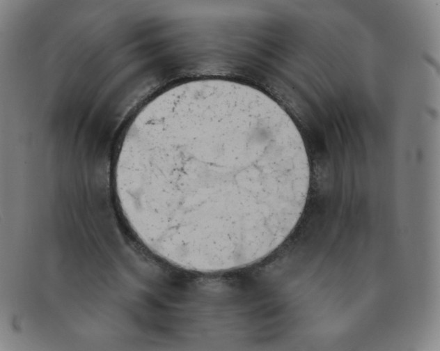 X0000091340534200708311458