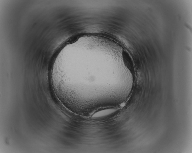 X0000091340535200708311458