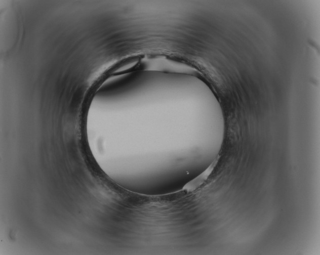 X0000091340536200708311458