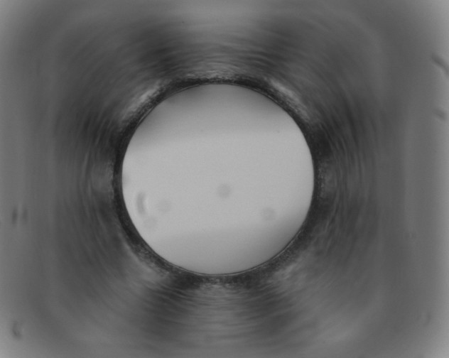 X0000091340538200708311458