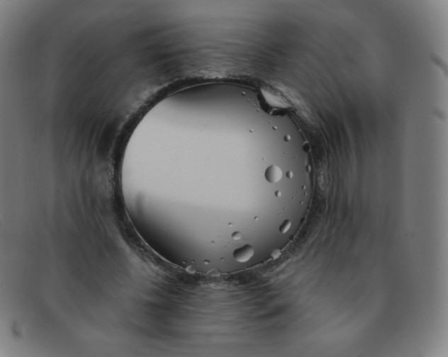 X0000091340540200708311458