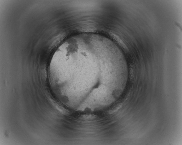 X0000091340541200708311458