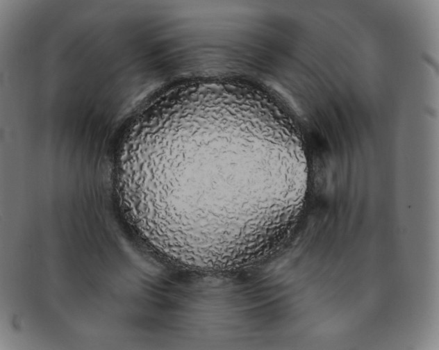 X0000091340542200708311458