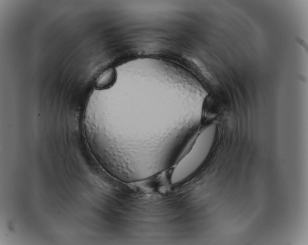 X0000091340543200708311458