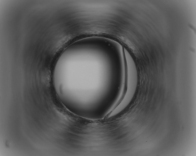 X0000091340544200708311458