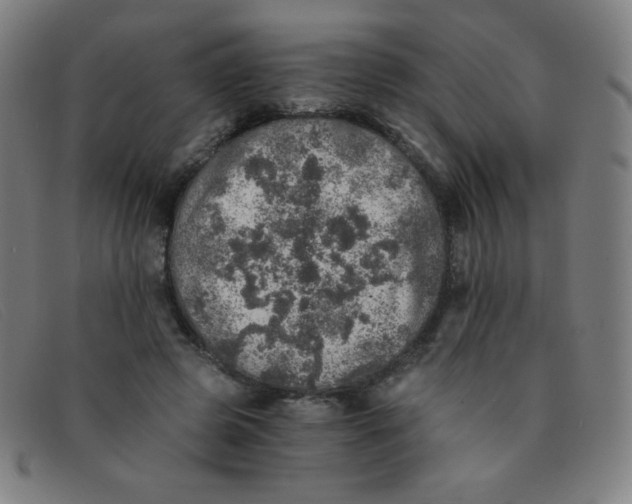 X0000091340545200708311458