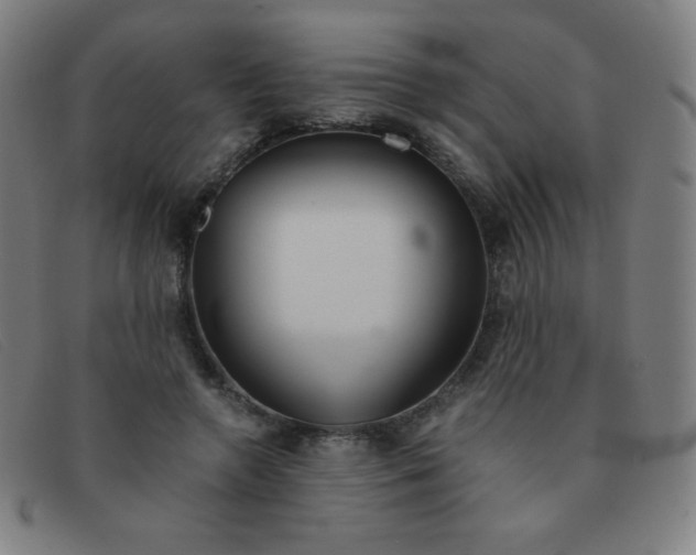 X0000091340546200708311458