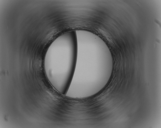 X0000091340548200708311458