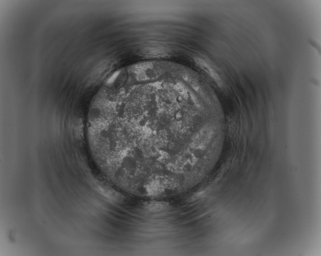 X0000091340549200708311458