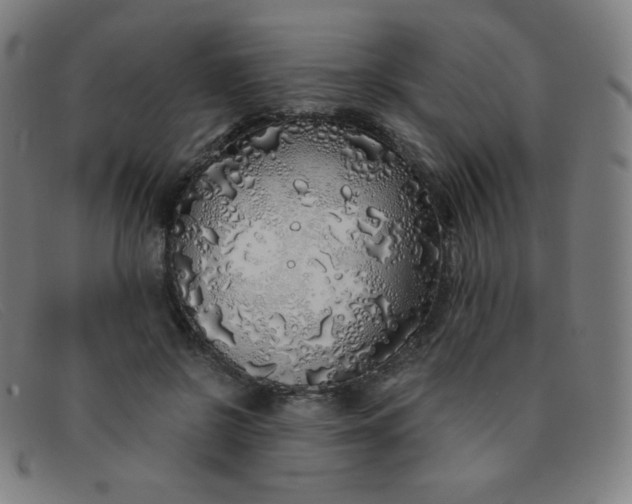 X0000091340550200708311458