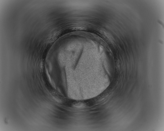 X0000091340551200708311458