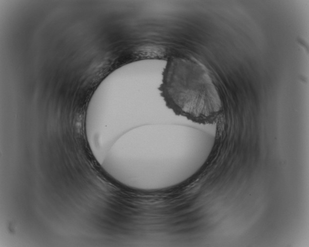 X0000091340553200708311458