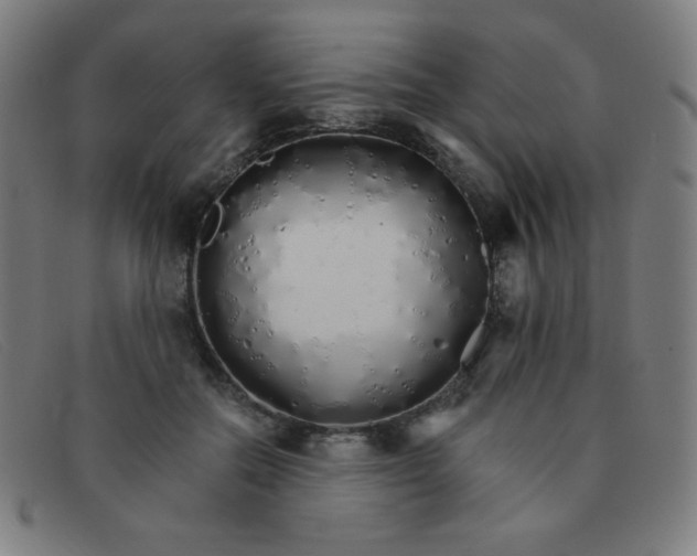 X0000091340554200708311458