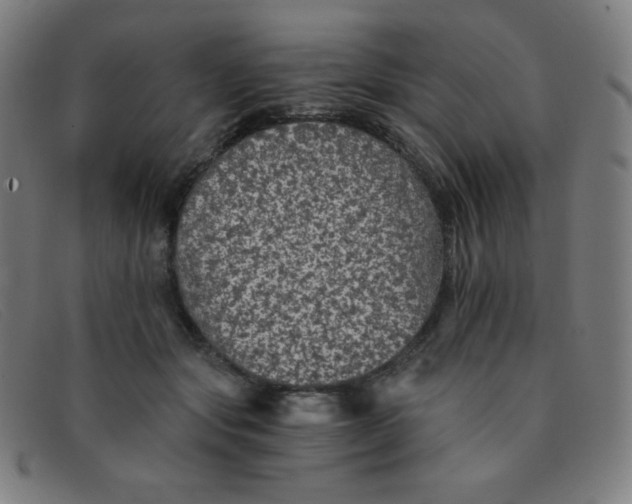 X0000091340557200708311458