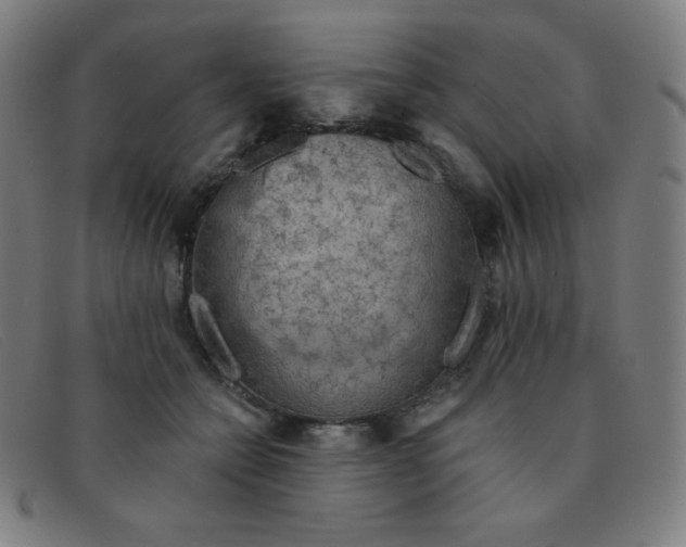 X0000091340558200708311458