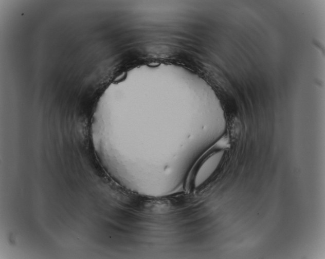 X0000091340559200708311458