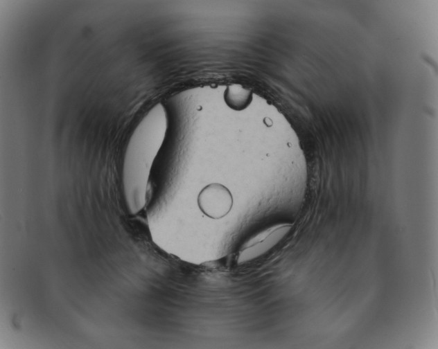 X0000091340560200708311458