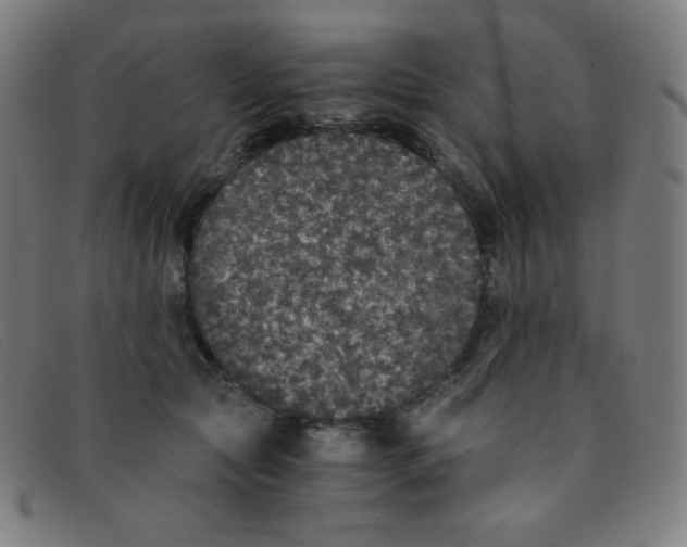 X0000091340561200708311458