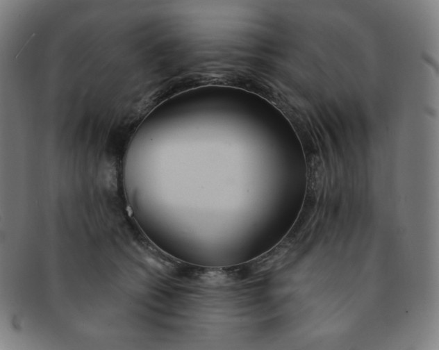 X0000091340562200708311458