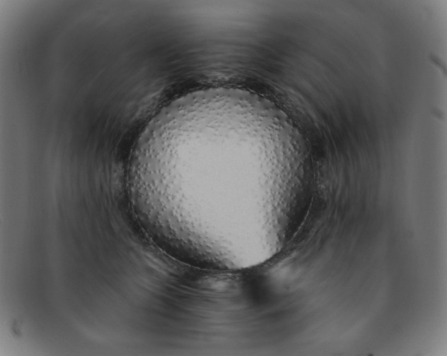 X0000091340563200708311458