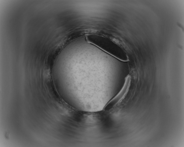 X0000091340564200708311458