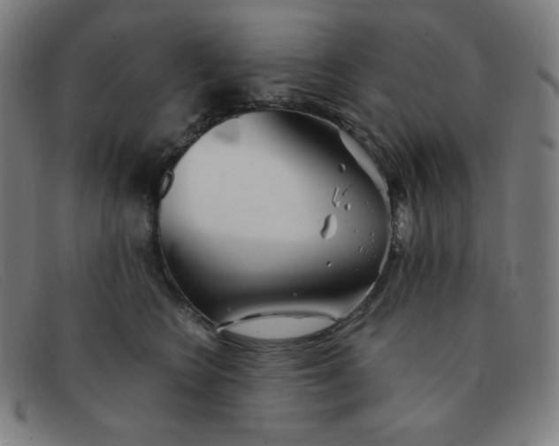 X0000091340566200708311458