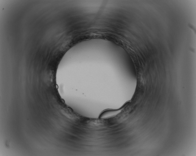 X0000091340567200708311458