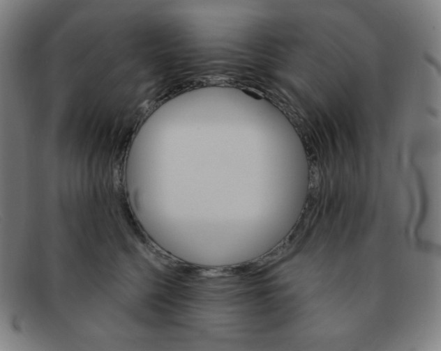 X0000091340568200708311458