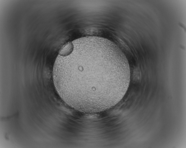 X0000091340569200708311458