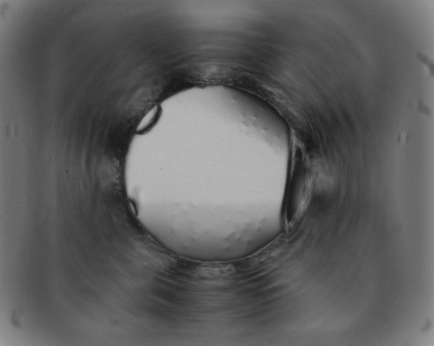 X0000091340571200708311458