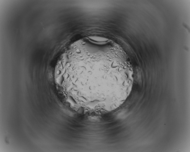 X0000091340573200708311458