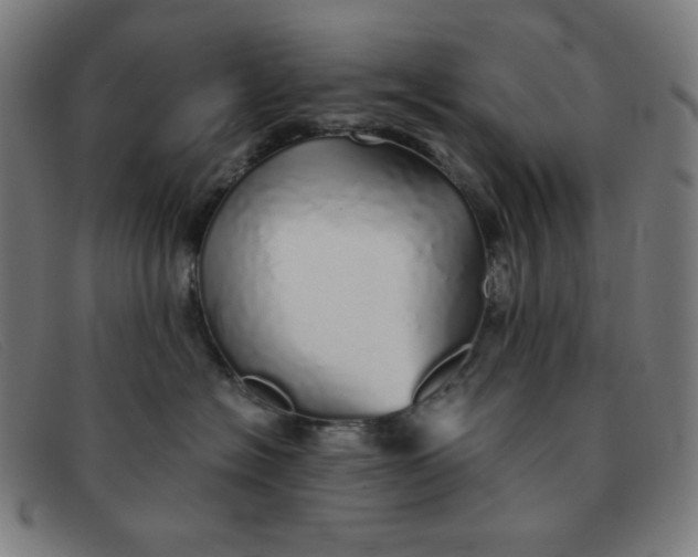 X0000091340574200708311458