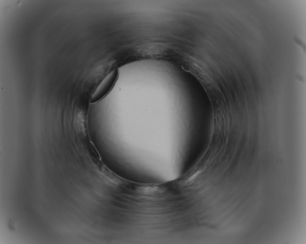 X0000091340575200708311458