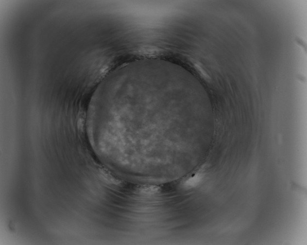 X0000091340576200708311458